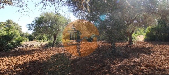 Terreno en Faro, Portugal 5600 m² No. 49499 19