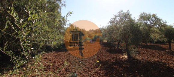 Terreno en Faro, Portugal 5600 m² No. 49499 17