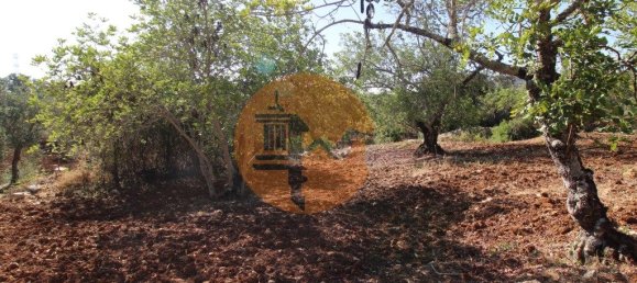 Terreno en Faro, Portugal 5600 m² No. 49499 14