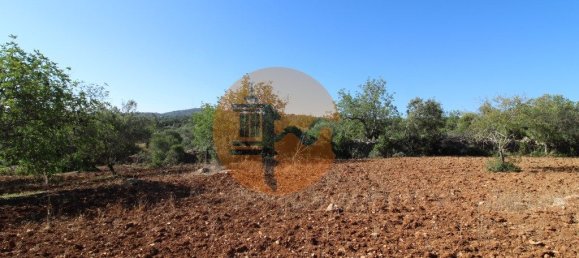 Terreno en Faro, Portugal 5600 m² No. 49499 11