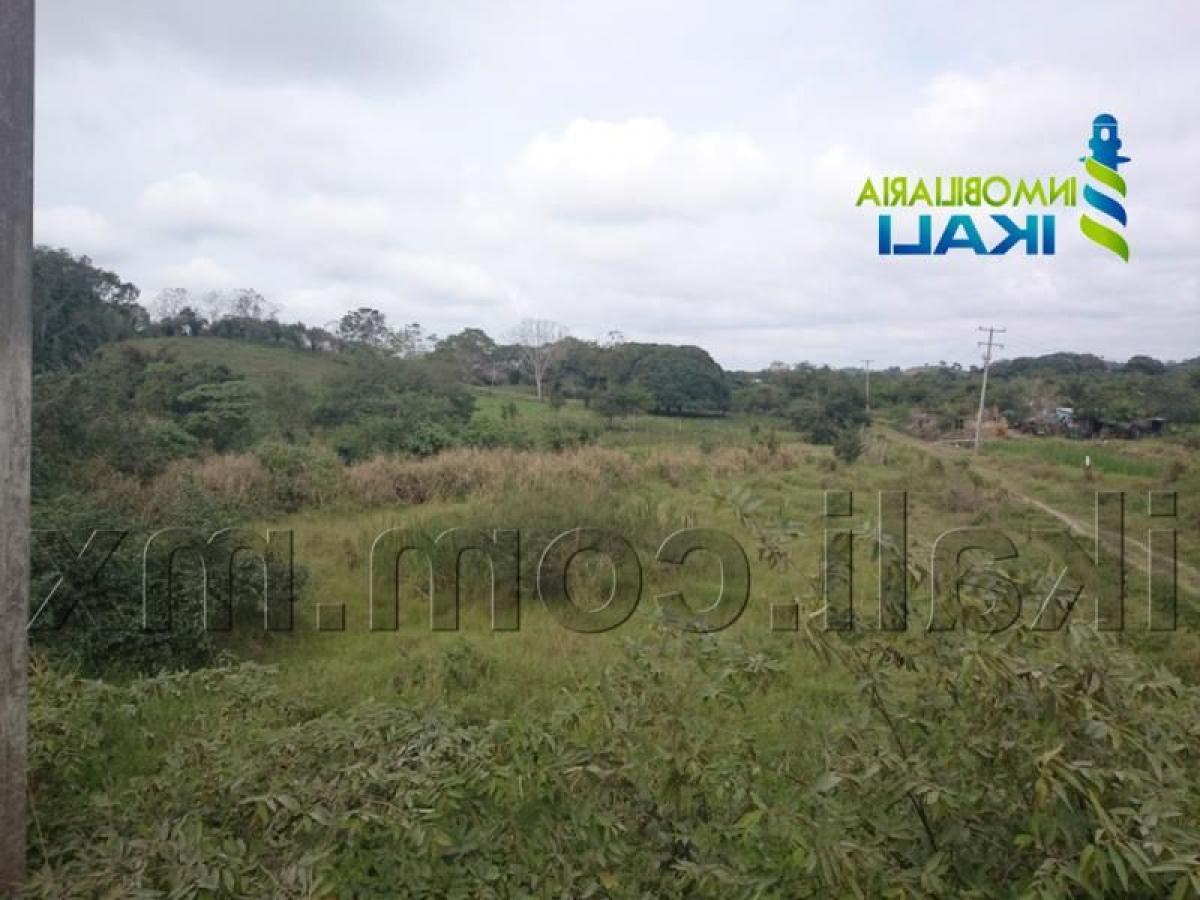 Земельный участок в Веракрус, Мексика № 203290