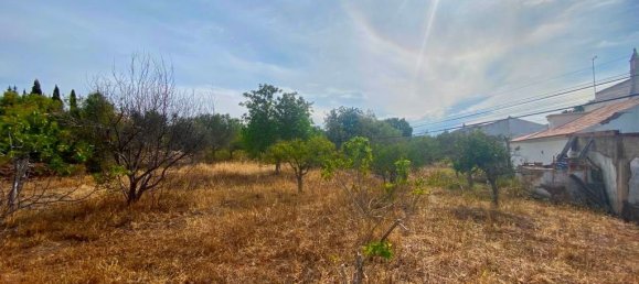 2 Schlafzimmer Haus in Loule, Portugal, Nr. 226263 11