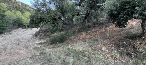 Grundstück in Marbella, Spain, Nr. 129814 25