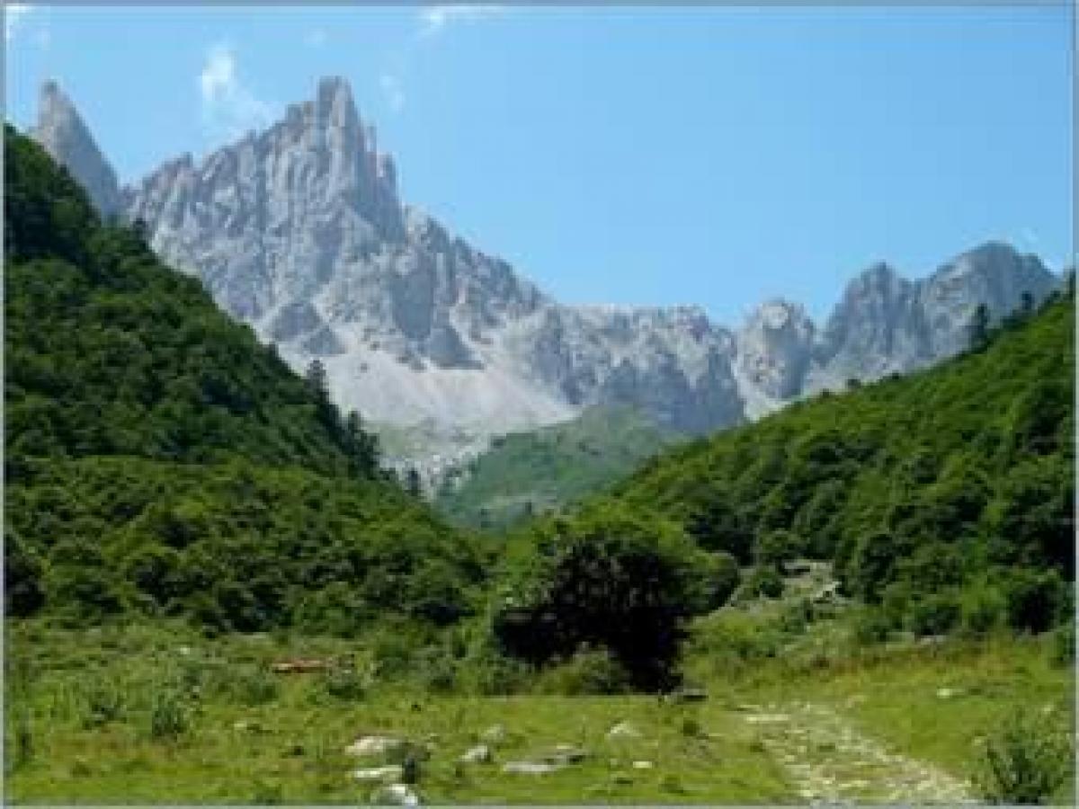 Офис с 5 спальнями в Лурд, Франция № 21027