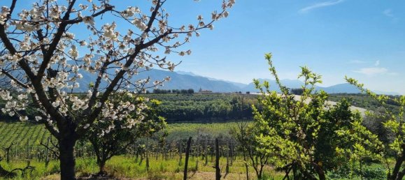 قطعة أرض في Cori, Italy 16000متر مربع رقم 160510 3