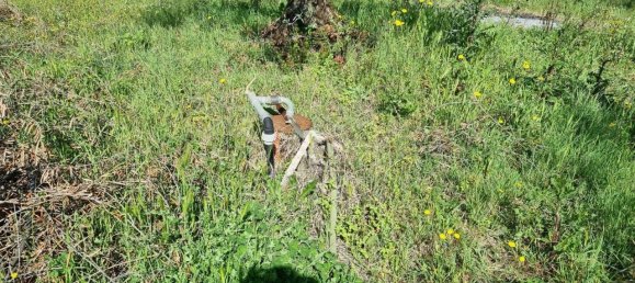 قطعة أرض في Cori, Italy 16000متر مربع رقم 160510 5