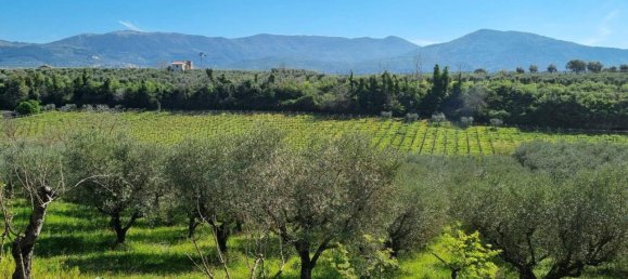 قطعة أرض في Cori, Italy 16000متر مربع رقم 160510 4