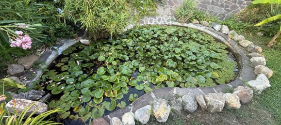 6 rooms House in Trevignano Romano, Italy No. 280000 46