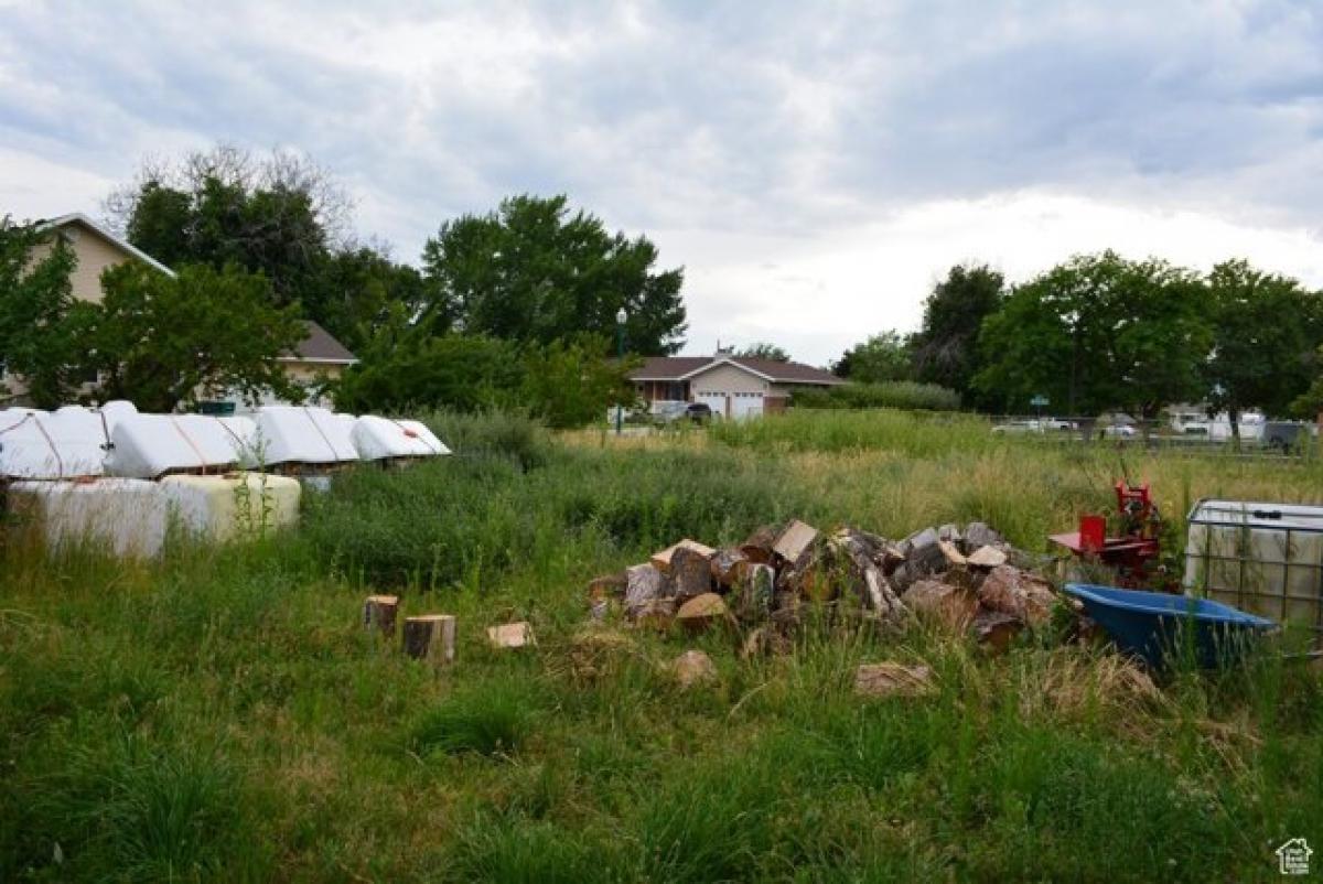  Land in Orem, USA No. 481698