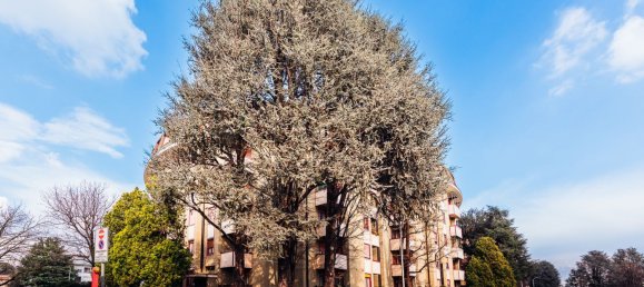 4 rooms Apartment in Melzo, Italy No. 226875 26