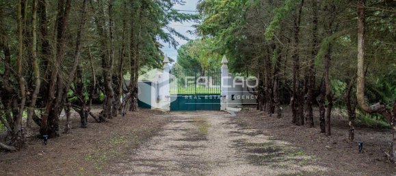 4 bedrooms House in Santarem, Portugal No. 92384 5