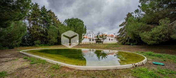 4 bedrooms House in Santarem, Portugal No. 92384 11