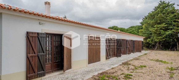 4 bedrooms House in Santarem, Portugal No. 92384 15