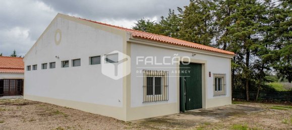 4 bedrooms House in Santarem, Portugal No. 92384 16