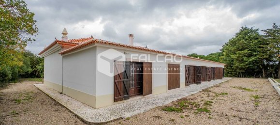 4 bedrooms House in Santarem, Portugal No. 92384 14
