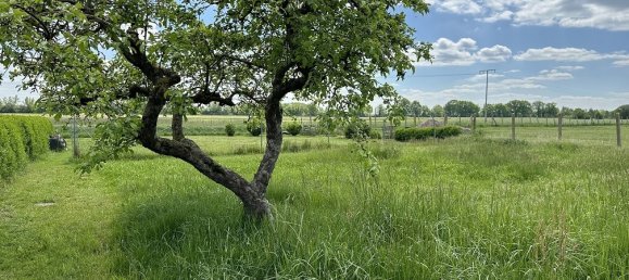 Вилла с 4 спальнями в Людвигслуст-Пархим, Германия № 193081 12