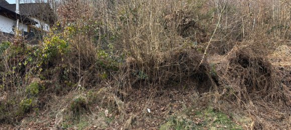 Grundstück in Altenkirchen, Germany, Nr. 134413 3