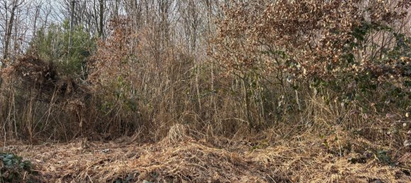 Grundstück in Altenkirchen, Germany, Nr. 134413 5