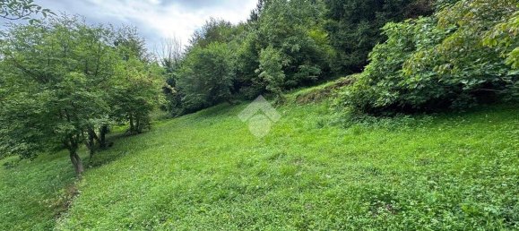 Terreno en Vittorio Veneto, Italy 17000 m² No. 265284 6