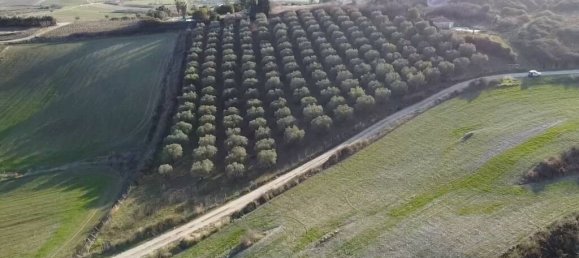 5625 m² terreno en venta en Chalkidiki, Central Macedonia, Macedonia and Thrace, Greece № 94317 5