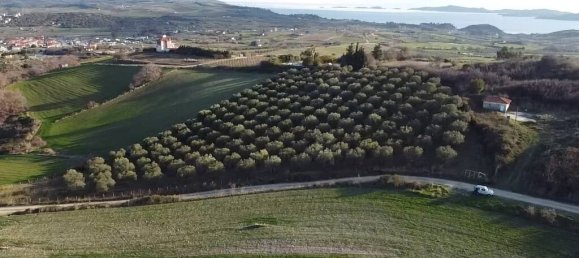 5625 m² terreno en venta en Chalkidiki, Central Macedonia, Macedonia and Thrace, Greece № 94317 2