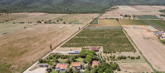 16 bedrooms Hotel in Grosseto, Italy No. 306604 4