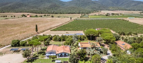 16 bedrooms Hotel in Grosseto, Italy No. 306604 3