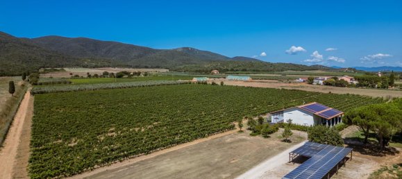 16 bedrooms Hotel in Grosseto, Italy No. 306604 17