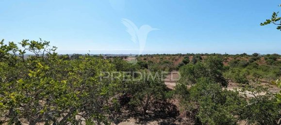 9 Schlafzimmer Haus in Castro Marim, Portugal, Nr. 74216 30