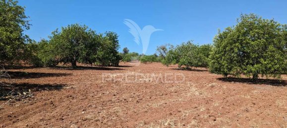 9 Schlafzimmer Haus in Castro Marim, Portugal, Nr. 74216 26