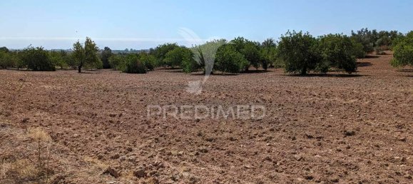 9 Schlafzimmer Haus in Castro Marim, Portugal, Nr. 74216 35