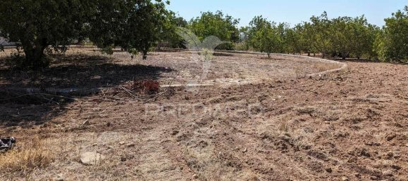 9 Schlafzimmer Haus in Castro Marim, Portugal, Nr. 74216 37