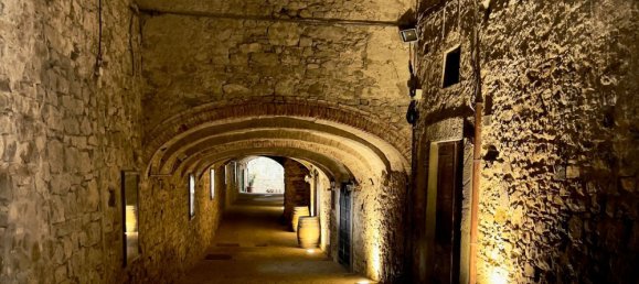 5غرفة بانتهاوس في Castellina in Chianti, Italy رقم 216308 15