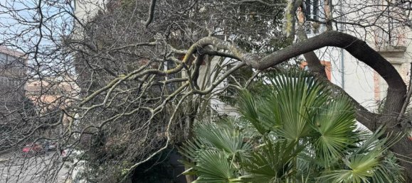 7 bedrooms House in Carcassonne, France No. 292552 7