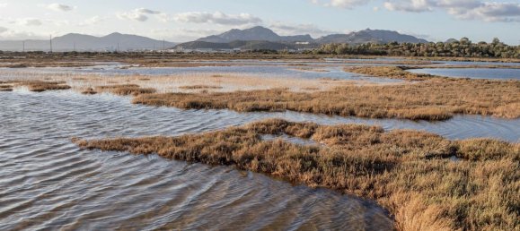 3 Schlafzimmer Wohnung in Olbia, Italy, Nr. 177737 21