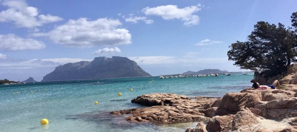 3 Schlafzimmer Wohnung in Olbia, Italy, Nr. 177737 18