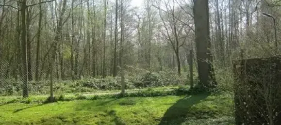 2 rooms Apartment in Bremen, Germany No. 85274 4