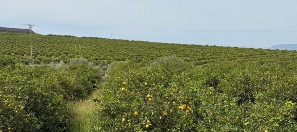 Land in Sangonera la Seca, Spain No. 162922 5