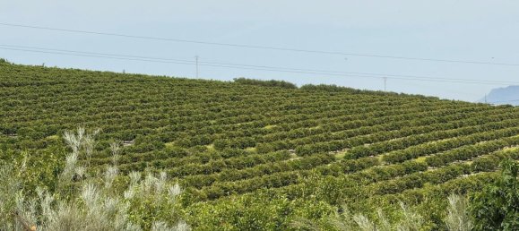 Land in Sangonera la Seca, Spain No. 162922 7