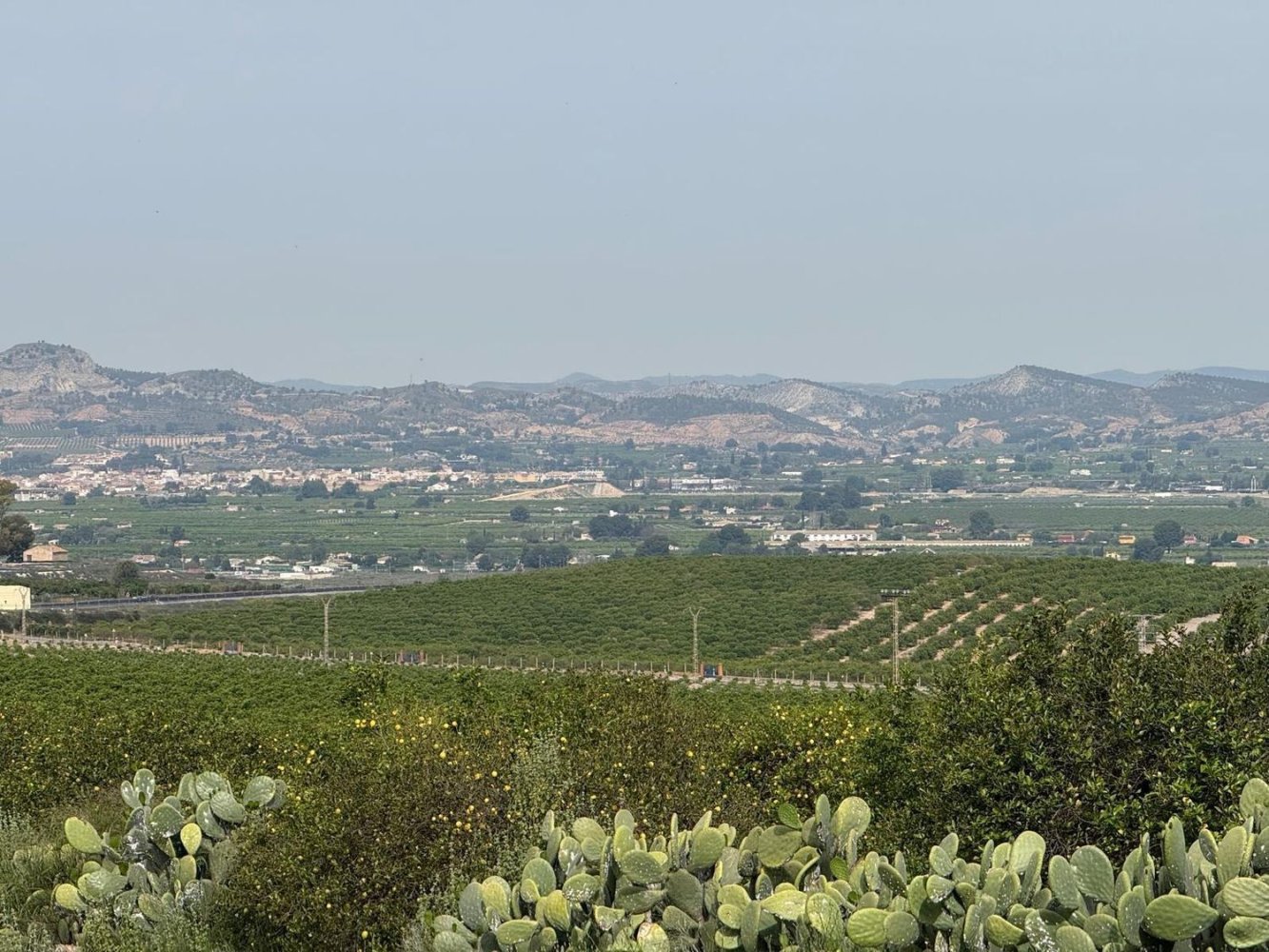  Land in Sangonera la Seca, Spain No. 162922