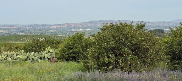 Land in Sangonera la Seca, Spain No. 162922 15