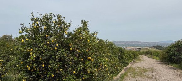 Land in Sangonera la Seca, Spain No. 162922 2