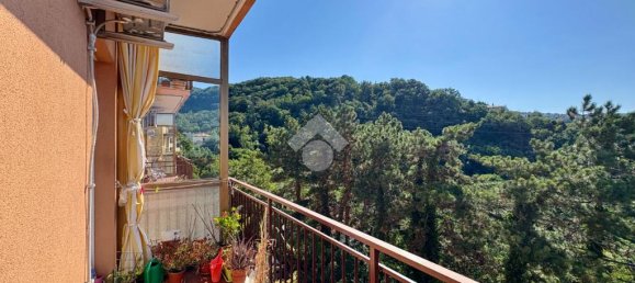 1 غرف نوم شقة في Trieste, Italy رقم 329402 3