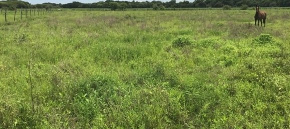  Land in Liberia, Costa Rica No. 1390 4