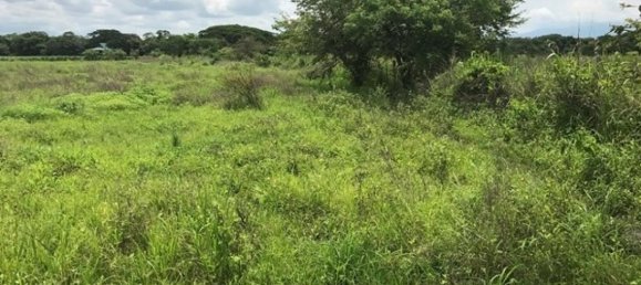  Land in Liberia, Costa Rica No. 1390 5