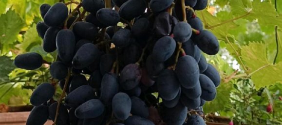 4غرفة فيلا في Teltow-Flaming, Germany رقم 266908 4