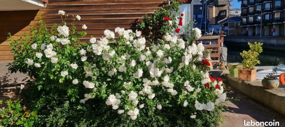 1 Schlafzimmer Wohnung in Deauville, France, Nr. 203309 3