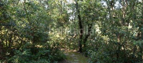 6 Schlafzimmer Haus in Seva, Spain, Nr. 172399 45