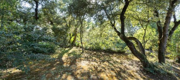 6 Schlafzimmer Haus in Seva, Spain, Nr. 172399 42