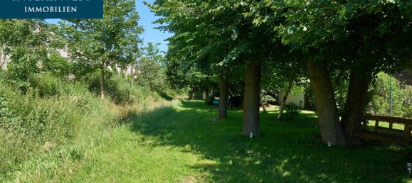 Таунхаус с 7 комнатами в Магдебург, Германия № 87030 5